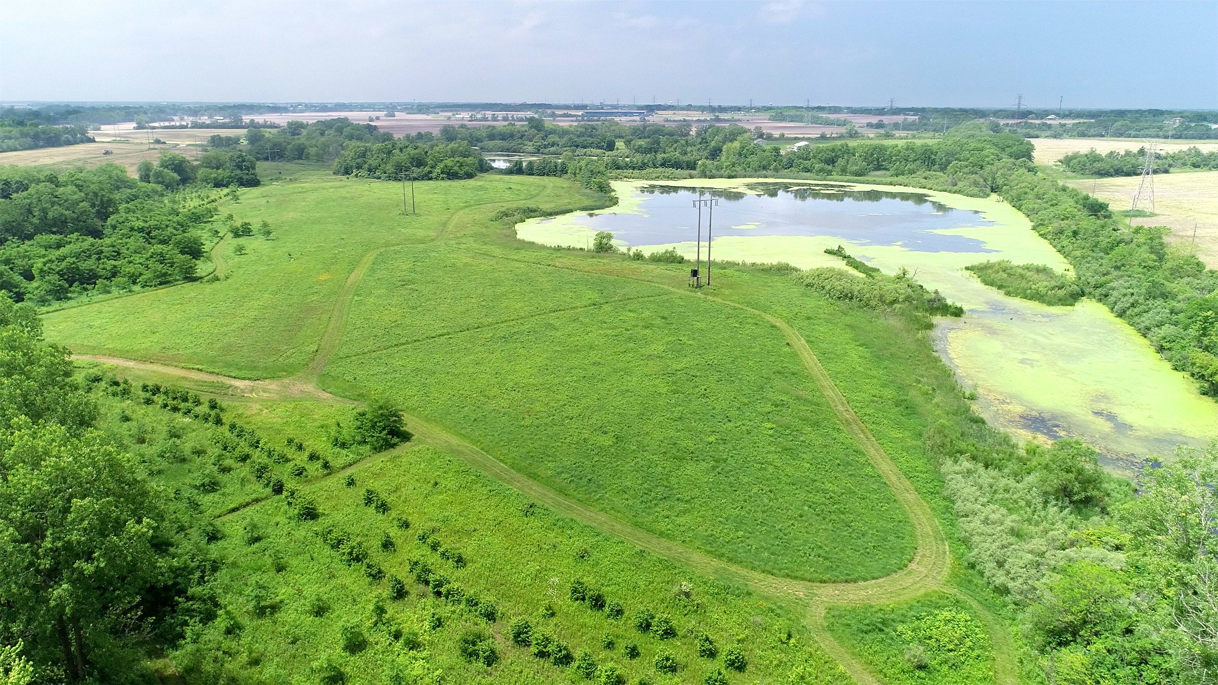 Lake County, Indiana farmland - LAND AUCTION - 147+/- ACRES OFFERED IN 3 TRACTS IN LAKE COUNTY, INDIANA